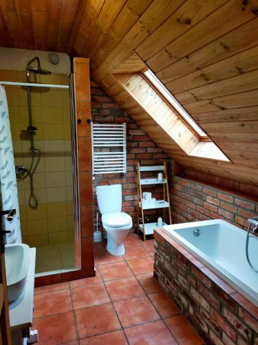 a bathroom with a shower and a toilet and a tub at Dom Gościnny Magiczna Stodółka in Osiecznica