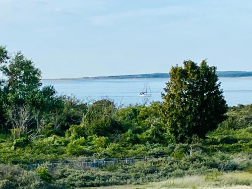 a sail boat in the water with trees at Le Gîte du Phare vue sur mer in Cayeux-sur-Mer