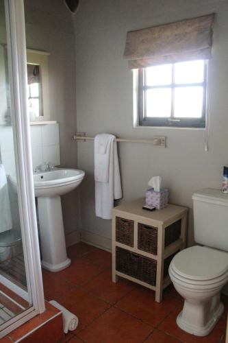 a bathroom with a toilet and a sink at Siesta Guesthouse & Wedding Venue - Frankfort in Frankfort