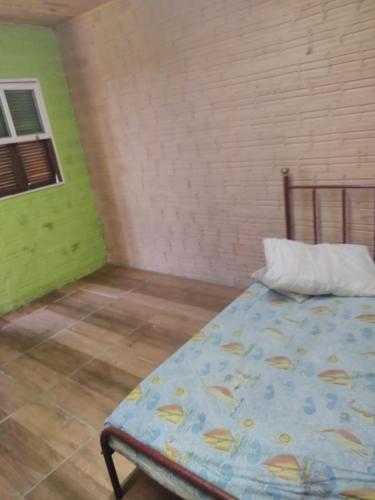 ein Schlafzimmer mit einem Bett in einem Zimmer mit grünen Wänden in der Unterkunft Pousada do bololo in Cidreira