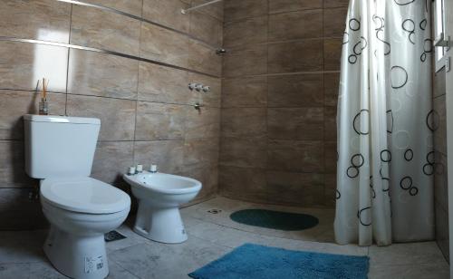 La salle de bains est pourvue d'une douche et de toilettes. dans l'établissement Altos de Mitre, à Reconquista