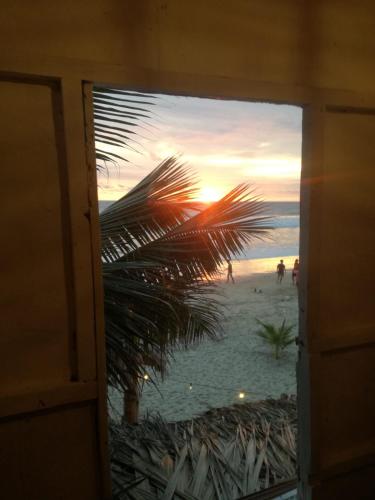 a window view of a beach with a palm tree at La Cabaña in Montañita