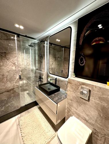 a bathroom with a shower and a sink and a toilet at Luxury City-Centric Apartment for Booking in Chişinău