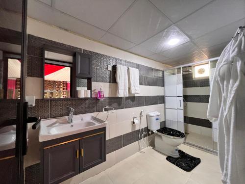 瓦迪拉姆的住宿－瓦迪魯姆天空之旅營地旅館，一间带水槽和卫生间的浴室