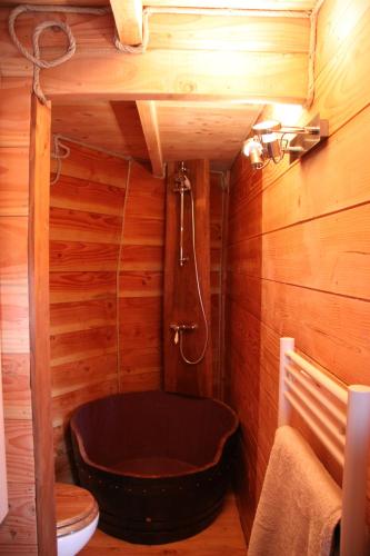 a bathroom with a bath tub in a wooden room at Domaine La Roche Bellin in Descartes