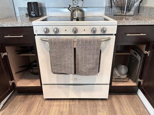 a white stove with a sink in a kitchen at Stylish Downtown High-Rise - 2BD in Baton Rouge