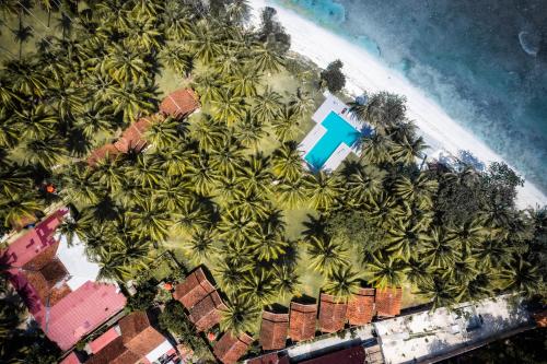 an aerial view of a tropical island with palm trees at Sumatra Surf Resort in Biha