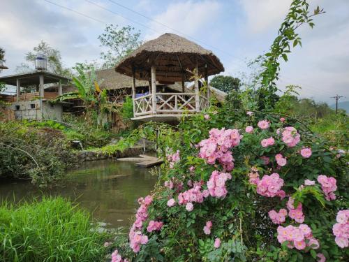 a garden with a gazebo and pink flowers at Dong Que Homestay-Tours-Motorbike, Car rental, Hiking in Ha Giang