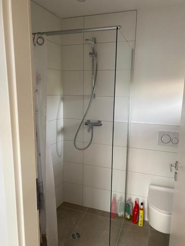 La salle de bains est pourvue d'une douche avec une porte en verre. dans l'établissement Ferienhaus Rheinperle mit Garten in Remagen am Rhein - Nähe Bonn, à Remagen