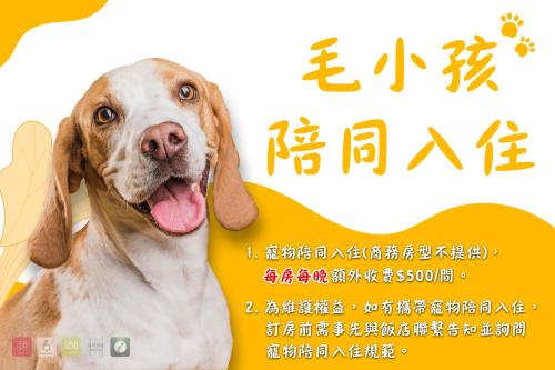 a picture of a dog with its tongue out at Six Star Motel-Taoyuan in Taoyuan