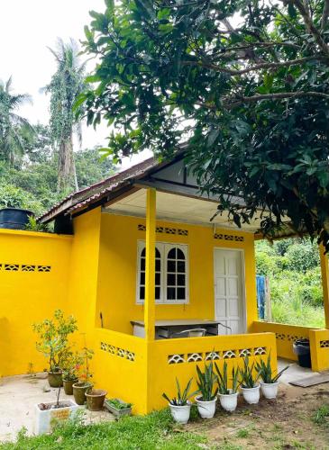 Fotografie z fotogalerie ubytování yellow homestay v destinaci Kampong Sarang Tiong