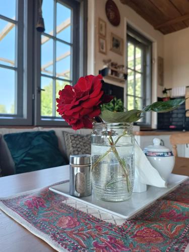 a red rose in a vase on a tray on a table at Chatka na Wzgórzu in Morzyszów