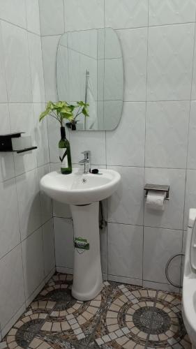 Un baño con lavabo y una botella con una planta. en Fort Marigold Hotel en Fort Portal