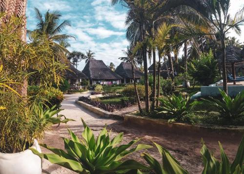 Mango Beach Villas – Photos 5