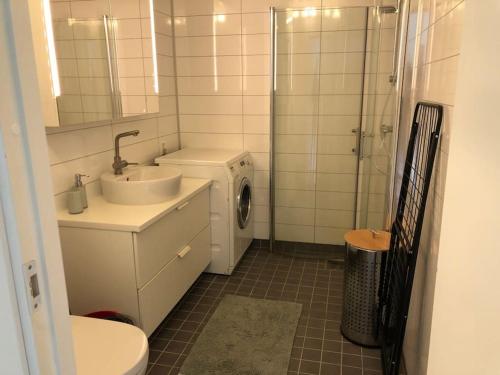 a bathroom with a sink and a washing machine at Trivelig liten leilighet, sentralt på Kvaløysletta in Tromsø