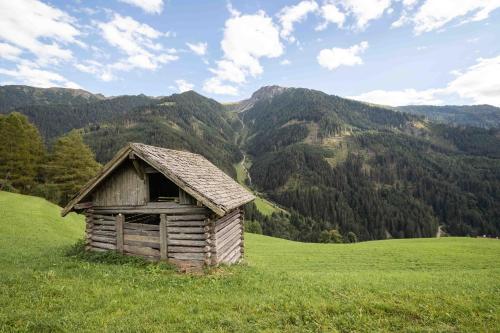 Příroda nedaleko apartmánu