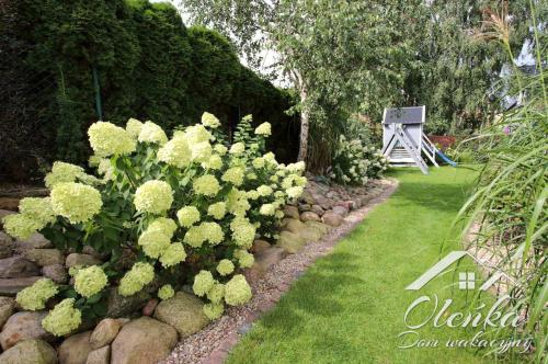 a garden with a bush of flowers and rocks at Dom Oleńka- Kaszuby, weekend, wakacje, sauna, jacuzzi, jezioro in Garcz