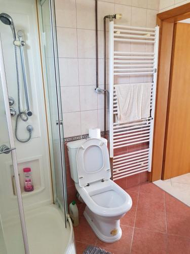 uma casa de banho com um WC e um chuveiro em Villa Krvavac em Kula Norinska
