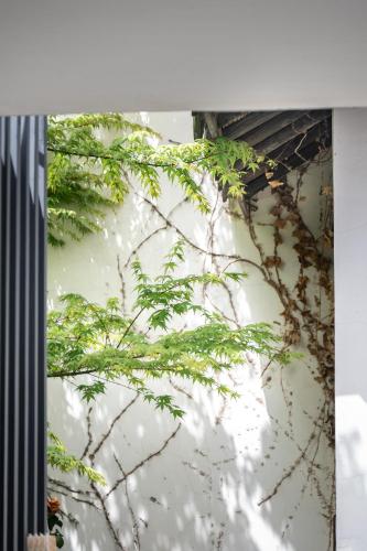 Tingjian Musu Private Soup Design Homestay - South Gate of Wuzhen Xizha Scenic Areaにある庭