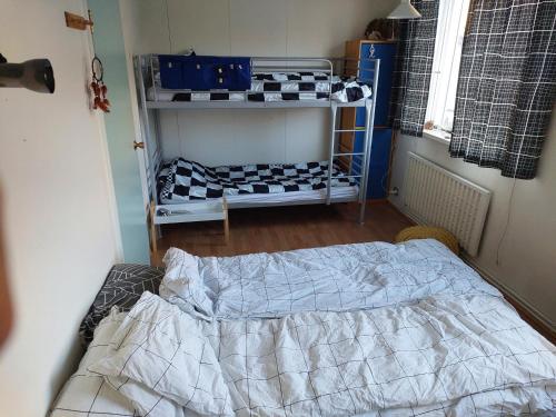 1 dormitorio con 1 cama en una habitación en Room W/hottub, sauna and firepit, en Seyðisfjörður