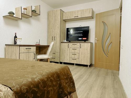 Schlafzimmer mit einem Bett und einem Flachbild-TV in der Unterkunft Flat in Petrosani in Petroşani