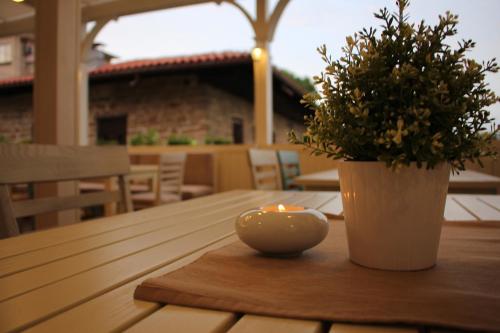 a candle sitting on a table with a potted plant at Hotel Nove in Svishtov