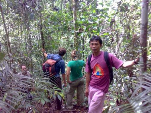 a group of people walking through the forest at Asim Paris Guesthouse in Bukit Lawang