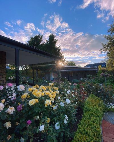 a garden of flowers in front of a building at Shiraz Cottage - A Vineyard Retreat in Barossa Valley in Rowland Flat