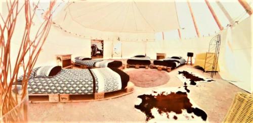 a room with a bunch of beds in it at Le Couche t'Art in Pisseloup