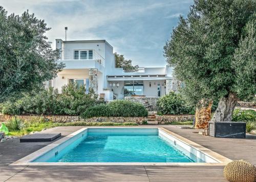 Villa Butterfly by Raro Villas