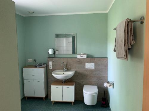 a bathroom with a sink and a toilet and a mirror at Ferienwohnung Familie Eder in Schönberg