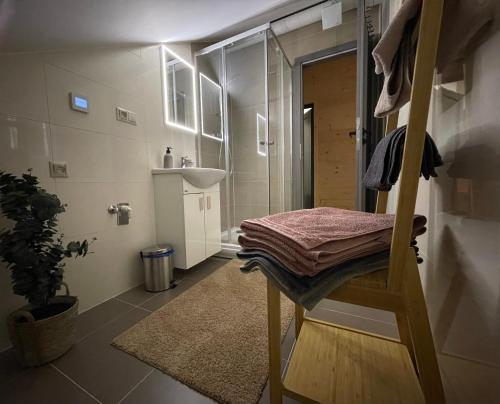 La salle de bains est pourvue d'une douche, d'un lavabo et d'une échelle. dans l'établissement U plechového Jánošíka, à Terchová