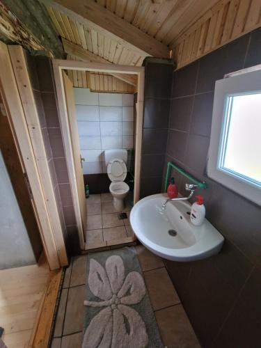 フォイニツァにあるProkoško jezero - Koliba Lovacのバスルーム(洗面台、トイレ付)