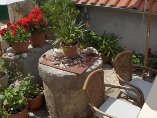 Giardino di Guest House Lucijo