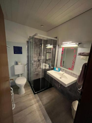 a bathroom with a shower and a sink and a toilet at Pension Lärchenhof in Döbriach