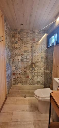 a bathroom with a toilet and a shower and a sink at Refugio PIREN, Corralco, Hot Tub y nieve in Curacautín