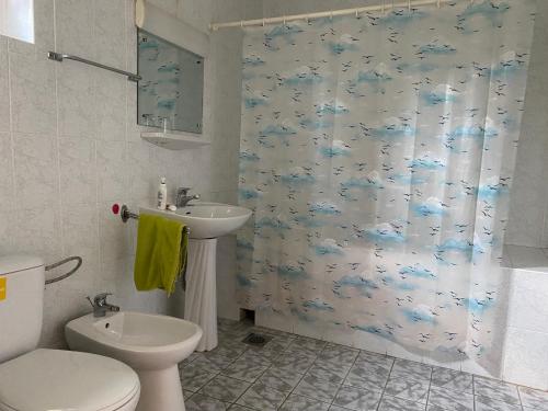 uma casa de banho com uma cortina de chuveiro, um WC e um lavatório. em VILA MARIS BUSTENI em Buşteni
