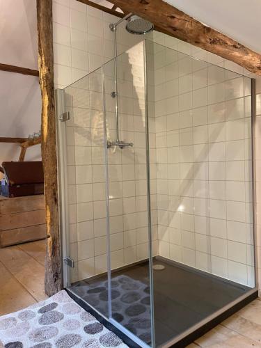 La salle de bains est pourvue d'une douche avec une porte en verre. dans l'établissement Art Of Einstein, à Diest