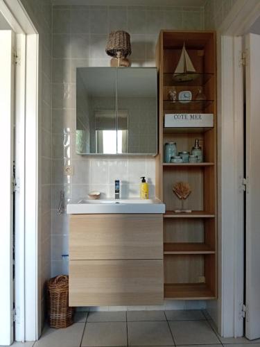 een badkamer met een wastafel en een spiegel bij Petit Bonheur in Oudenaarde