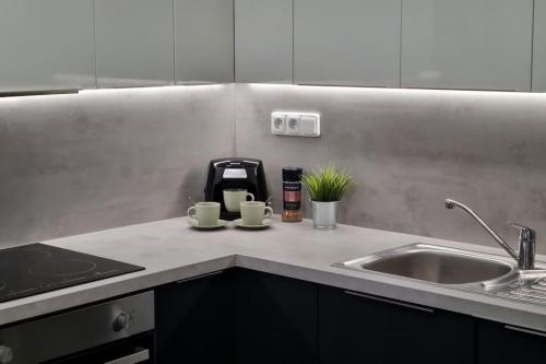 a kitchen counter with two cups and a sink at Finnem Rentals Varnsdorfská in Prague