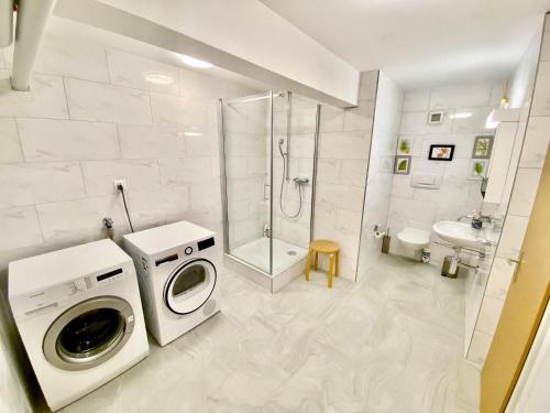a bathroom with a washing machine and a shower at Green Sun - a cozy apartment close to the airport in Opfikon