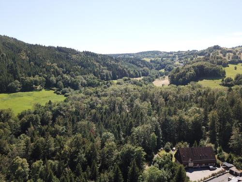 Coté Forêt – Photos 2