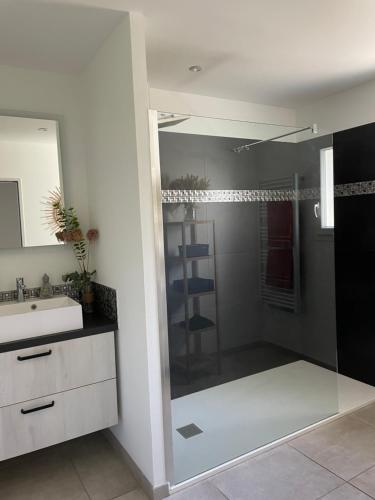 een badkamer met een douche, een wastafel en een spiegel bij Chambre avec salle de bain privée dans villa in Manosque