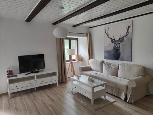 a living room with a couch and a tv at la ferme de la gaby in Le Noirmont