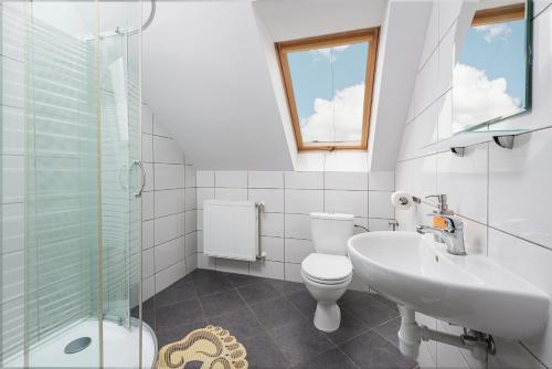 uma casa de banho com um WC, um lavatório e um chuveiro em Zajazd Avena em Krokowa