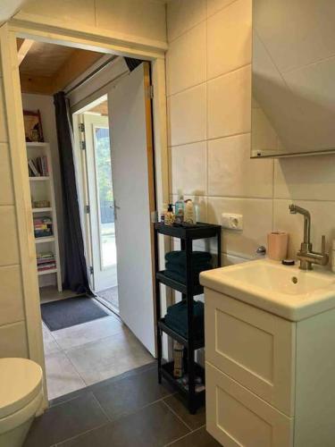 a small bathroom with a sink and a toilet at Mooie schuur appartement in Den Horn in Den Horn