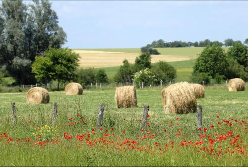 a group of hay bales in a field at La chambre de Madeleine in Commercy