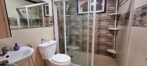a bathroom with a shower and a toilet and a sink at Balay Sa Bukid 2 Bedroom in Boracay