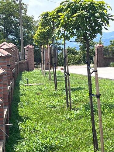 Zahrada ubytování Apartmani Vinarije IN