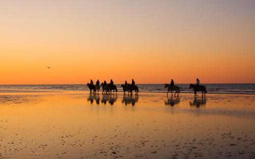 a group of people riding horses on the beach at sunset at MY HOUSE URBAN LUXURY B&B in Reggio Calabria